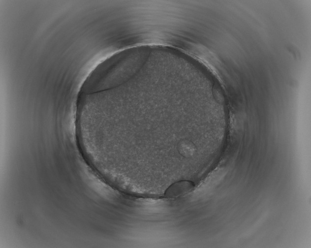 X0000112851124200910021246