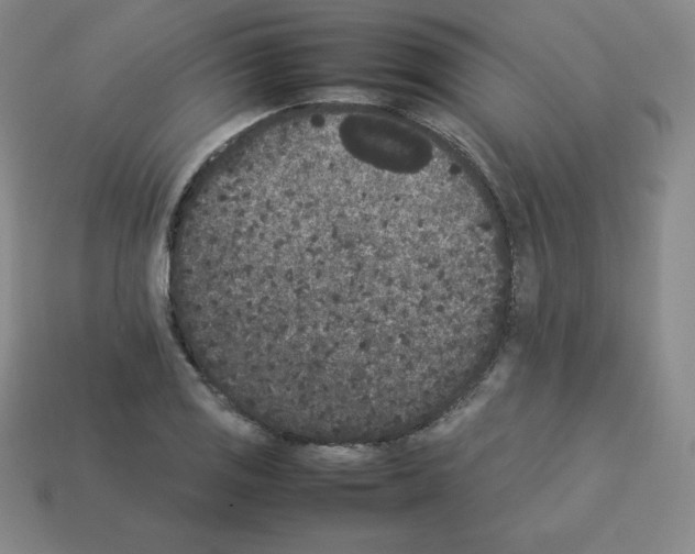 X0000112851125200910021246