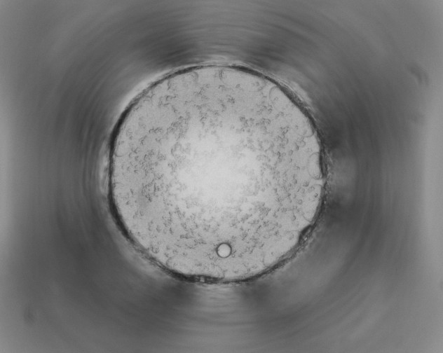 X0000112851126200910021246