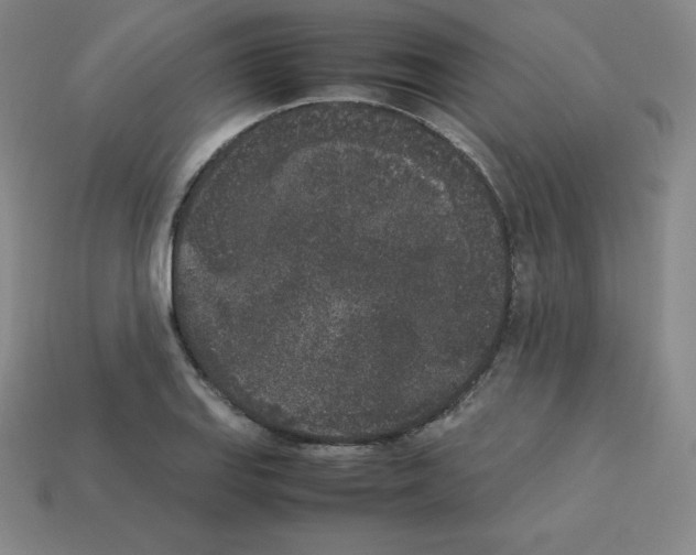 X0000112851127200910021246