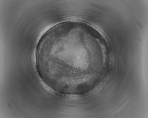 X0000112851128200910021246