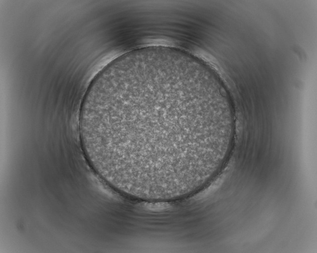 X0000112851129200910021246