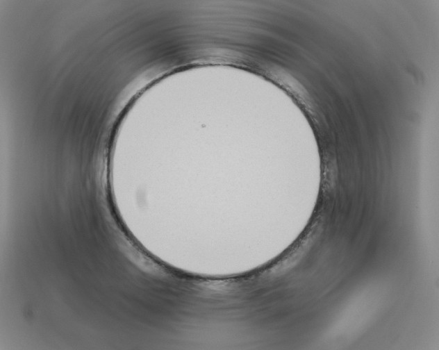 X0000112851130200910021246