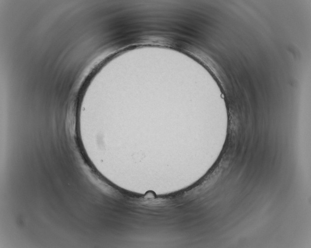 X0000112851131200910021246