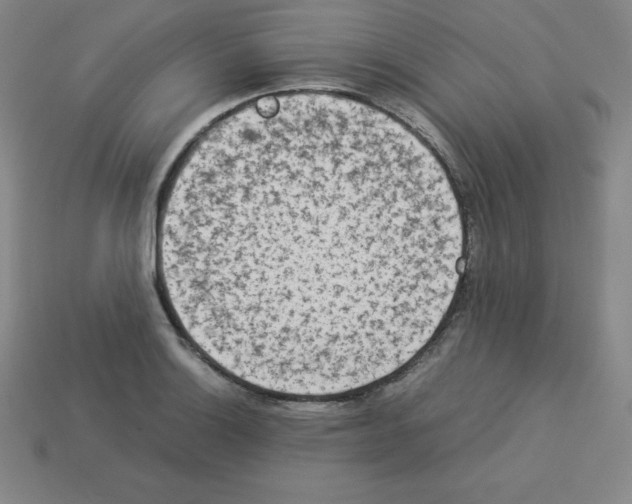 X0000112851132200910021246