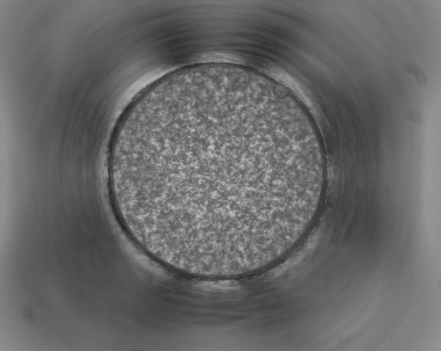 X0000112851133200910021246