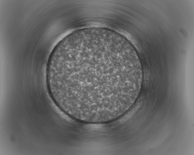 X0000112851134200910021246