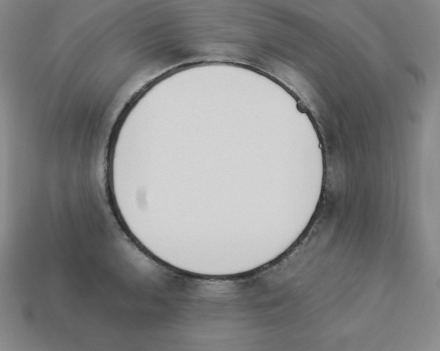 X0000112851136200910021246