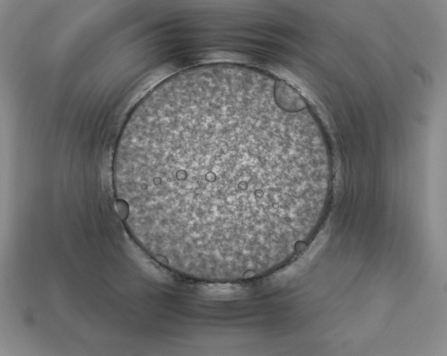 X0000112851137200910021246