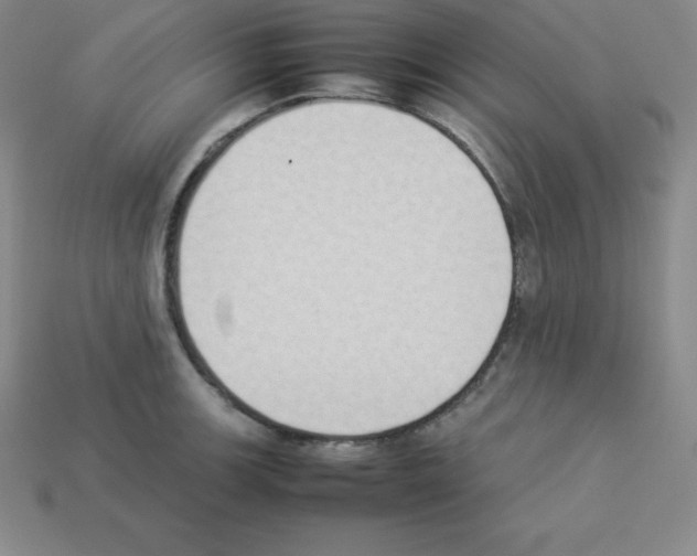 X0000112851139200910021246