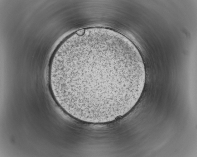 X0000112851140200910021246