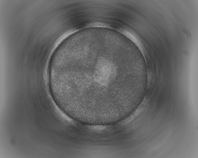 X0000112851141200910021246