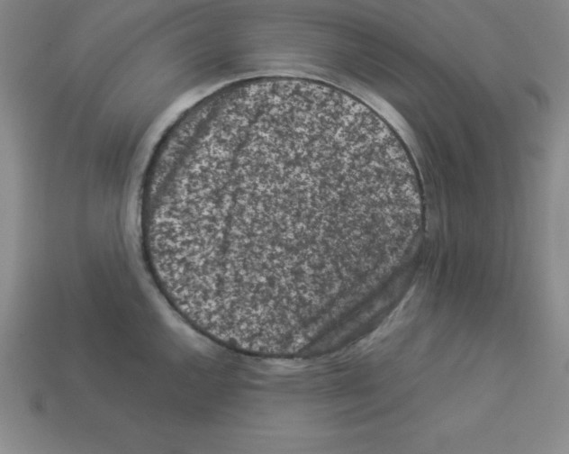 X0000112851144200910021246