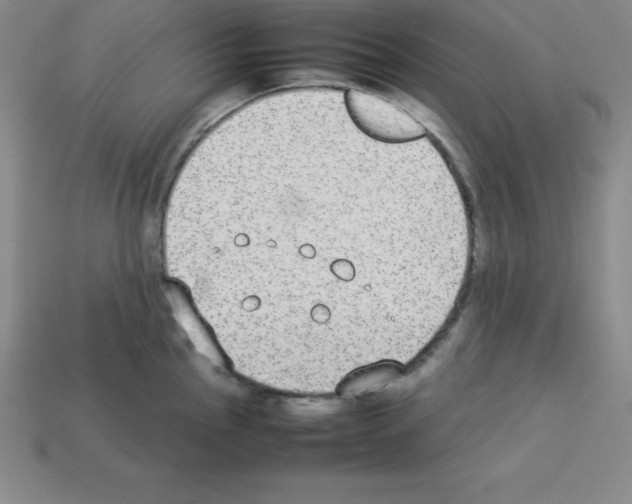 X0000112851145200910021246