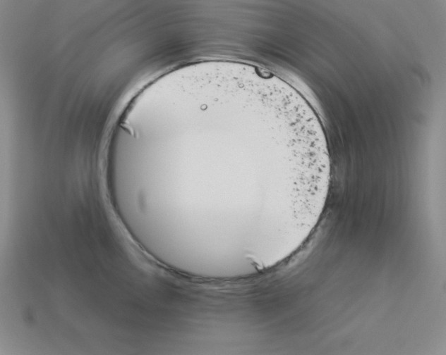 X0000112851146200910021246