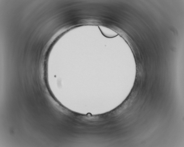 X0000112851147200910021246