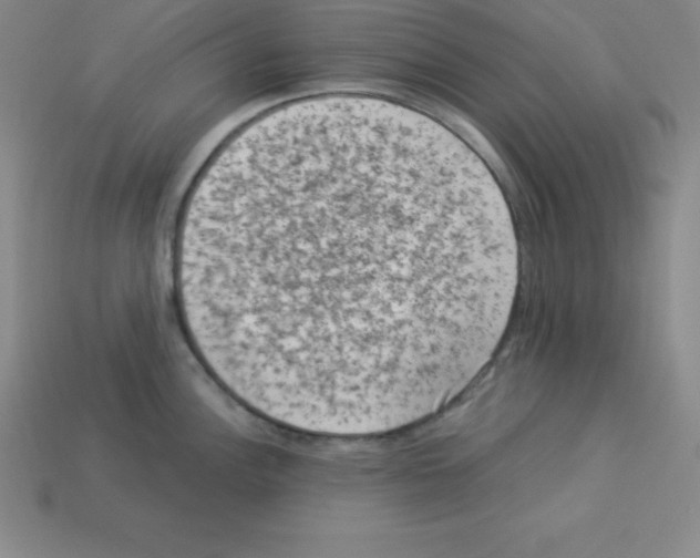 X0000112851148200910021246