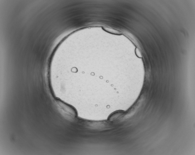 X0000112851149200910021246