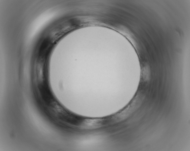 X0000112851150200910021246