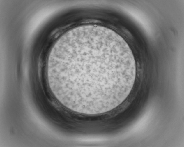 X0000112851151200910021246