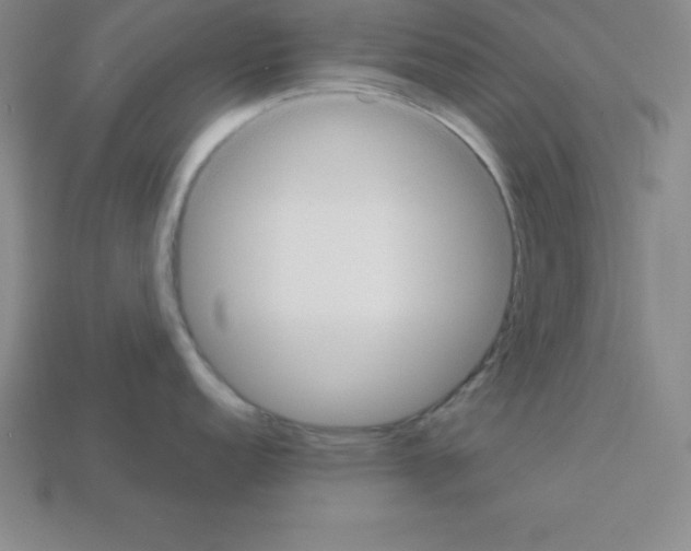 X0000112851152200910021246