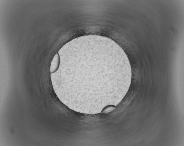 X0000112851153200910021246