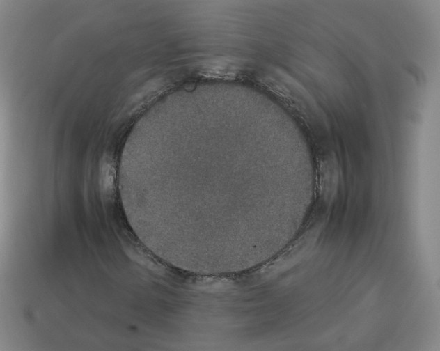 X0000112851154200910021246