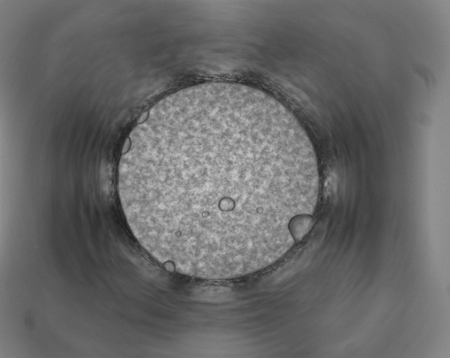 X0000112851156200910021246