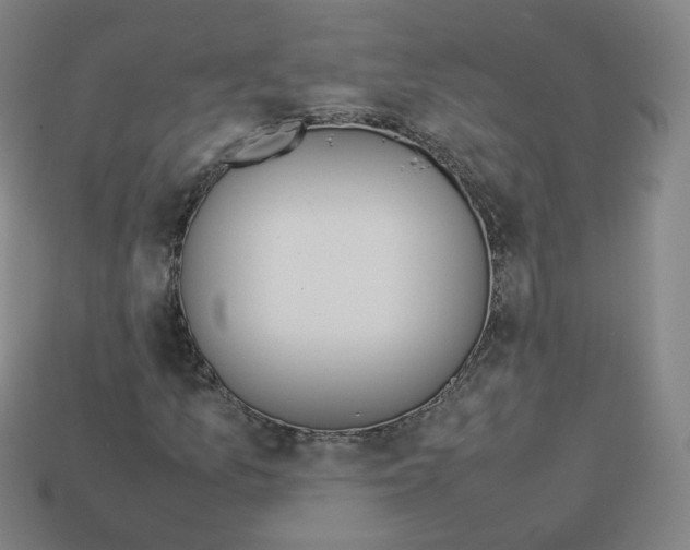 X0000112851157200910021246