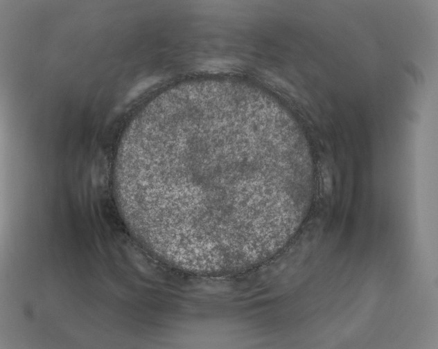 X0000112851158200910021245