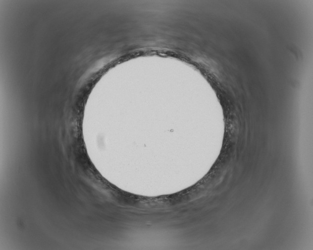 X0000112851159200910021245