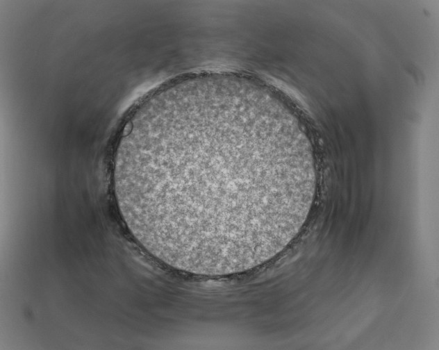 X0000112851160200910021245