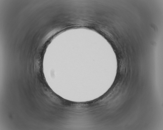 X0000112851163200910021245