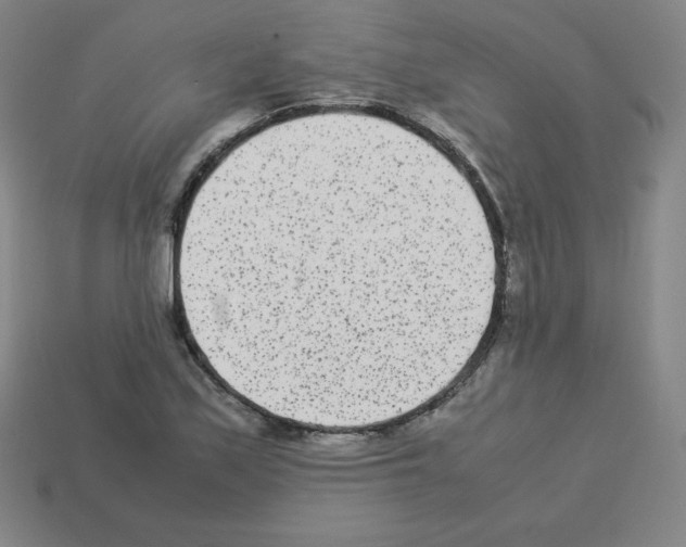 X0000112851171200910021245