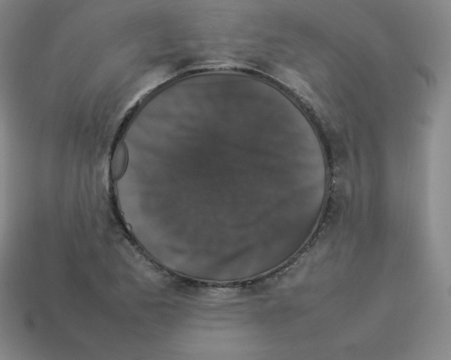 X0000112851173200910021245