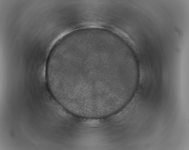 X0000112851174200910021245