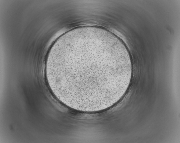 X0000112851179200910021245