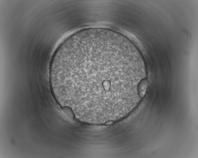 X0000112851184200910021245