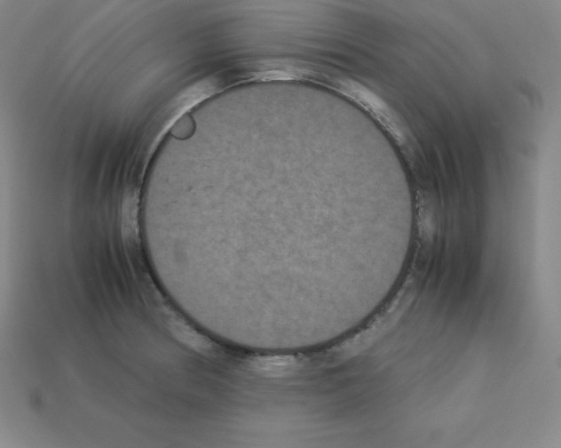 X0000112851186200910021245