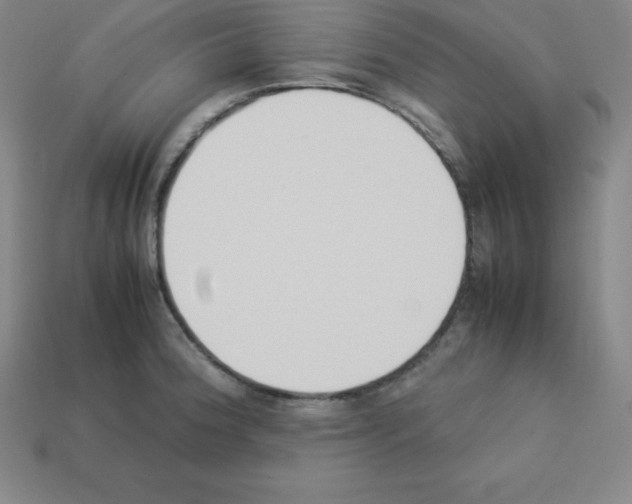 X0000112851188200910021245