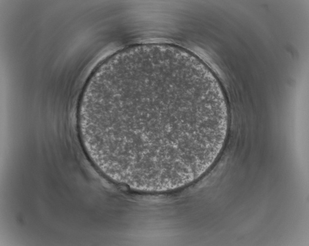 X0000112851189200910021245