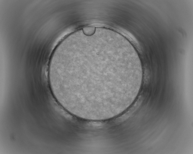 X0000112851190200910021245