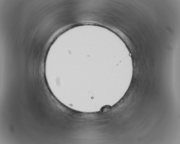 X0000112851191200910021245