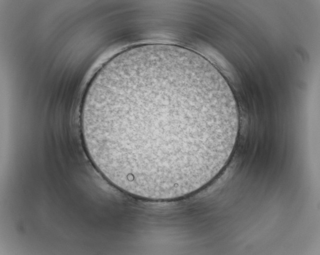 X0000112851192200910021245