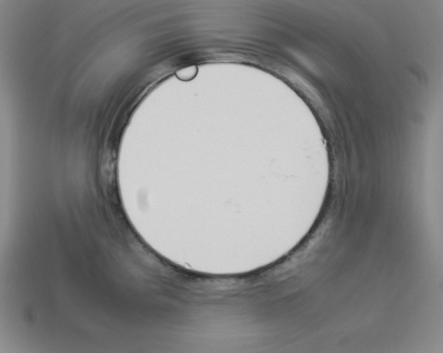 X0000112851193200910021245