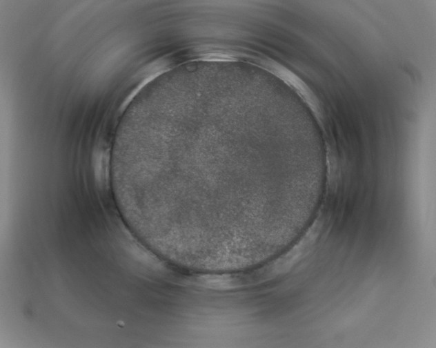 X0000112851194200910021245