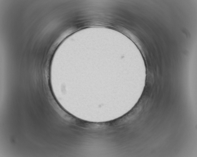 X0000112851195200910021245