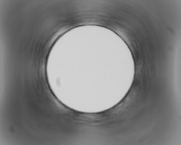 X0000112851197200910021245