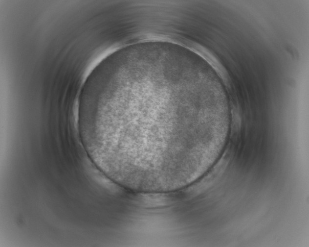 X0000112851198200910021245