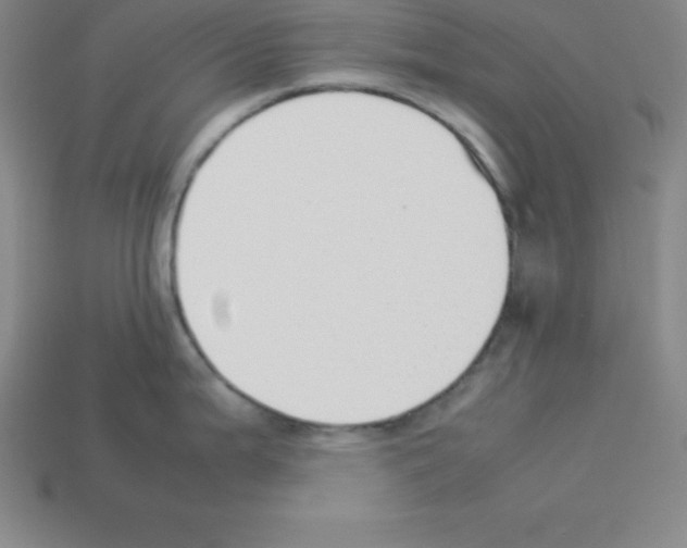 X0000112851199200910021245